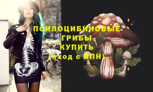 твердый Абинск