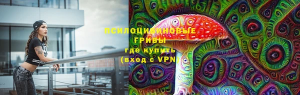 твердый Абинск