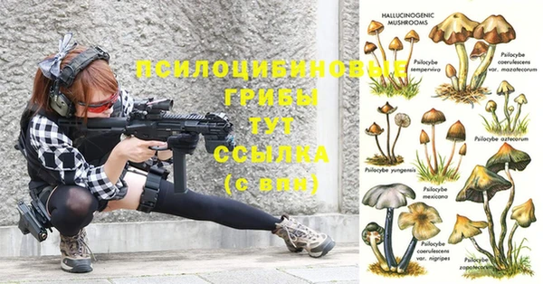 твердый Абинск