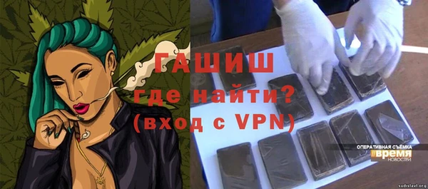 индика Козельск