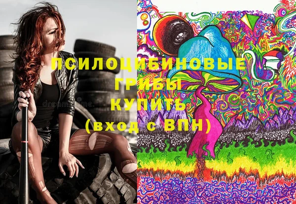 спайс Абаза