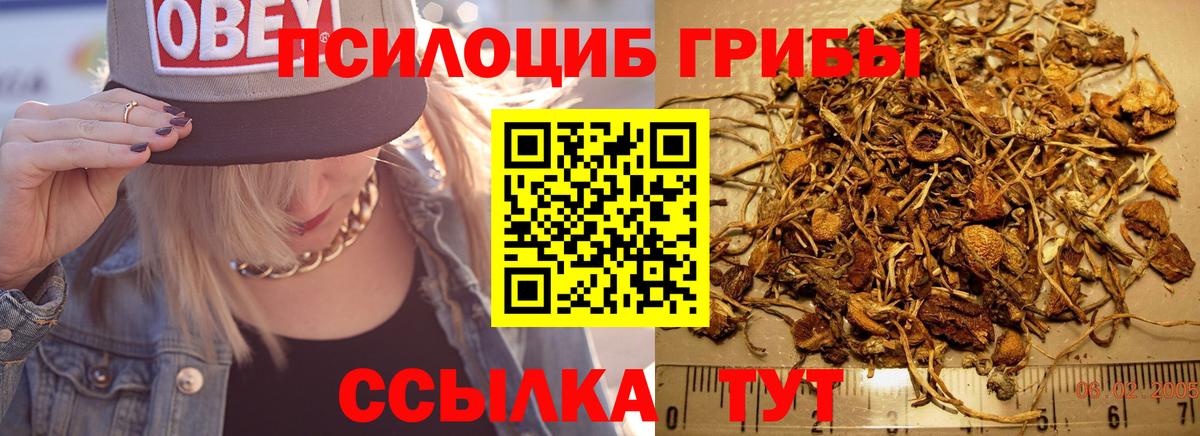 Галлюциногенные грибы Magic Shrooms  Псилоцибиновые грибы мицелий  Кудымкар  Вход с VPN 